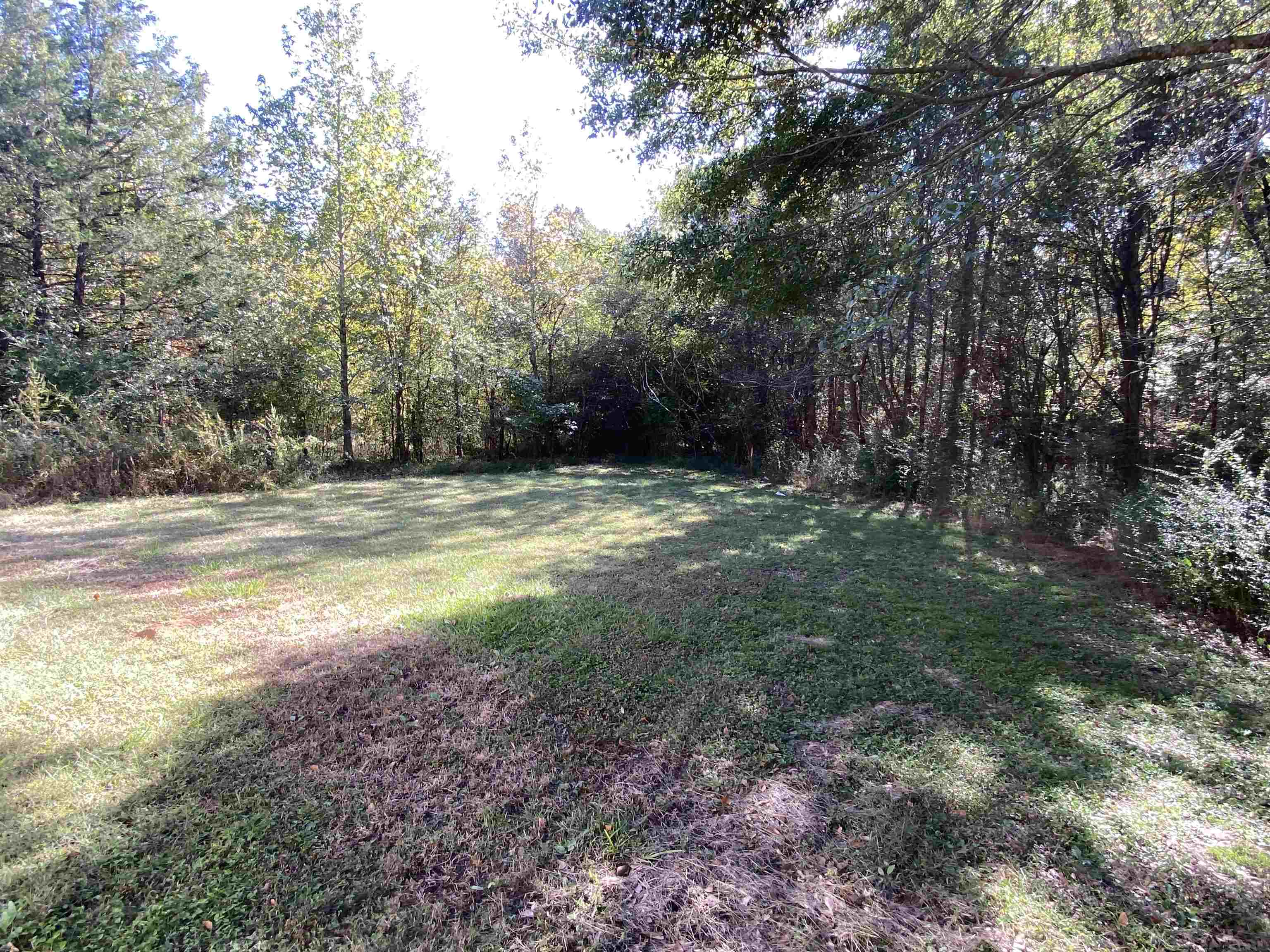 5610 Leapwood Enville Road Adamsville, TN 38310 - Photo 21 of 27 a view of outdoor space with trees