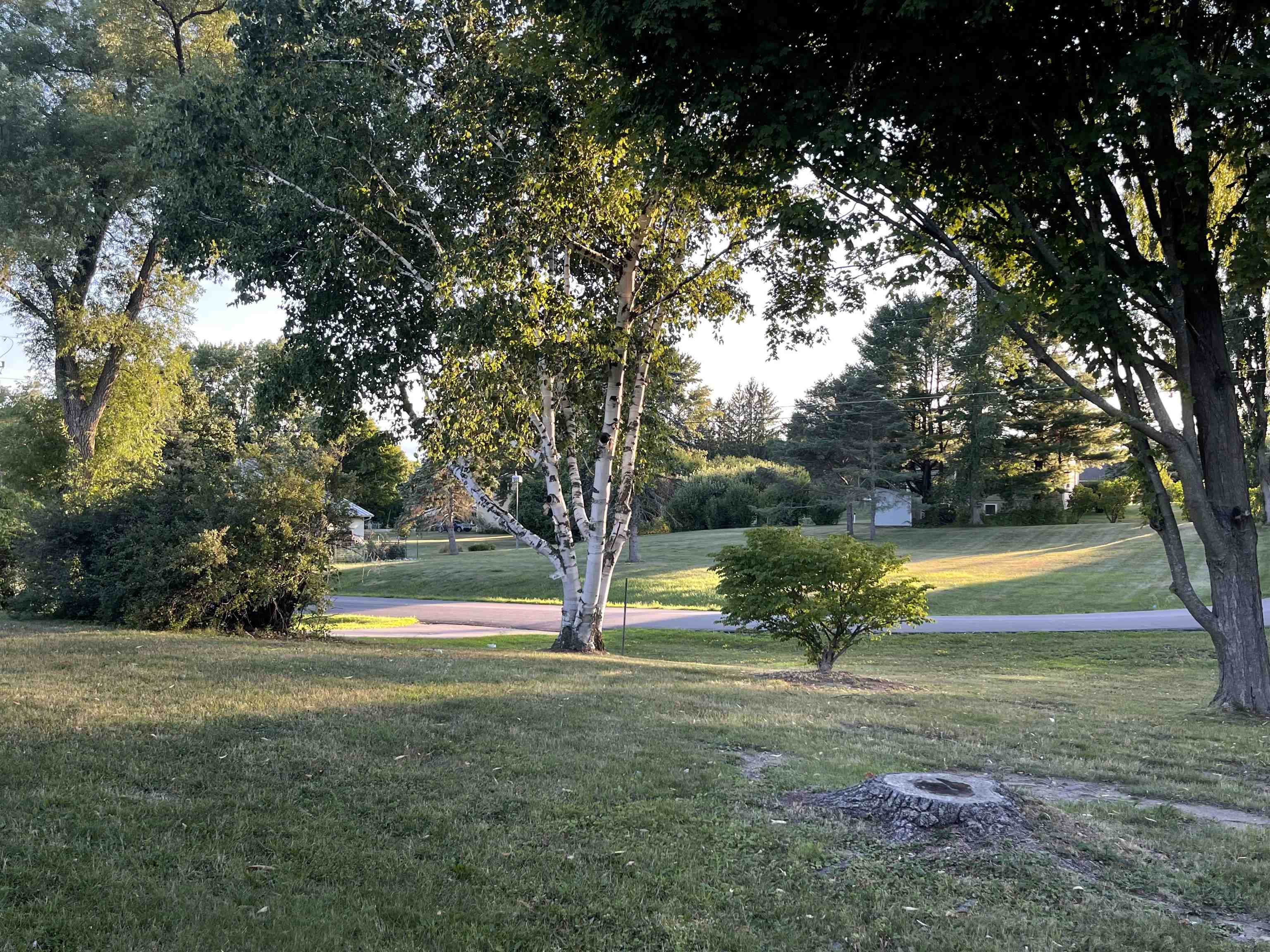 156 Terrace Heights Weybridge, VT 05753 - Photo 4 of 32