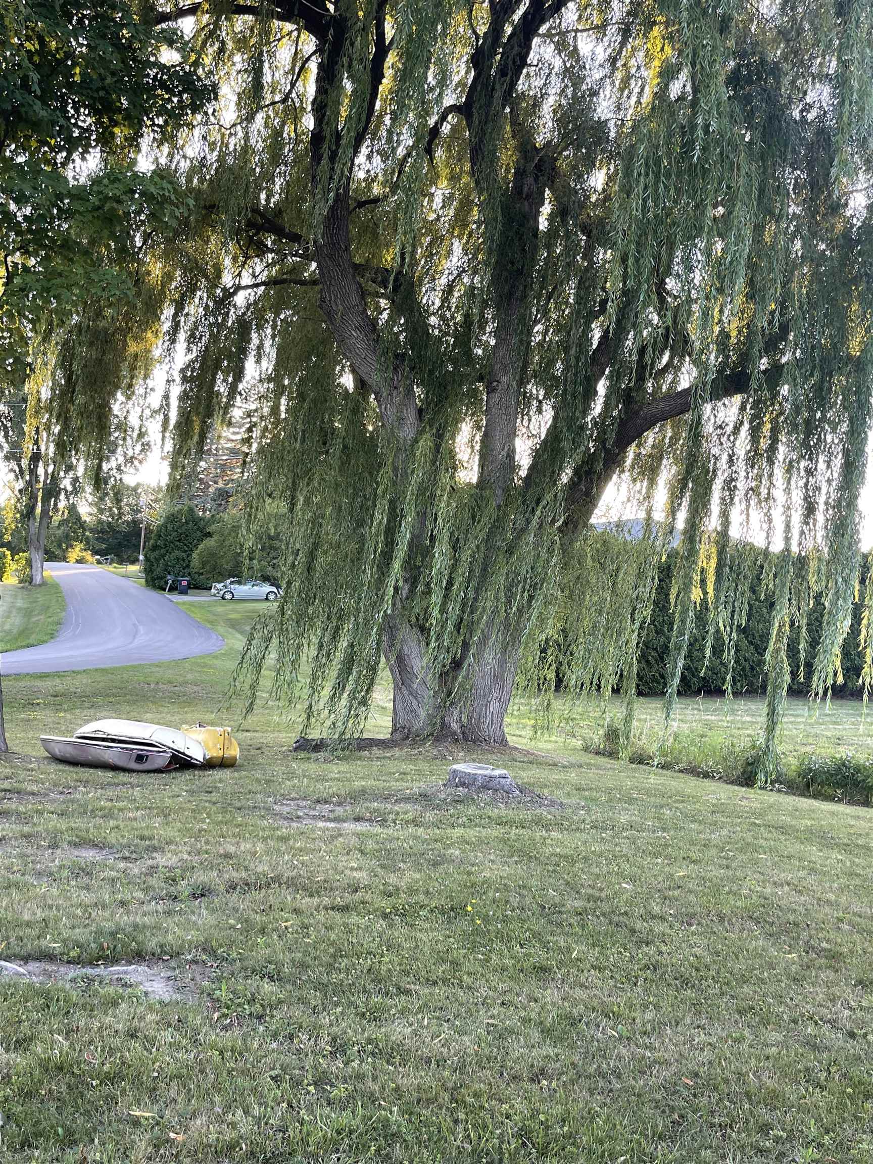 156 Terrace Heights Weybridge, VT 05753 - Photo 5 of 32