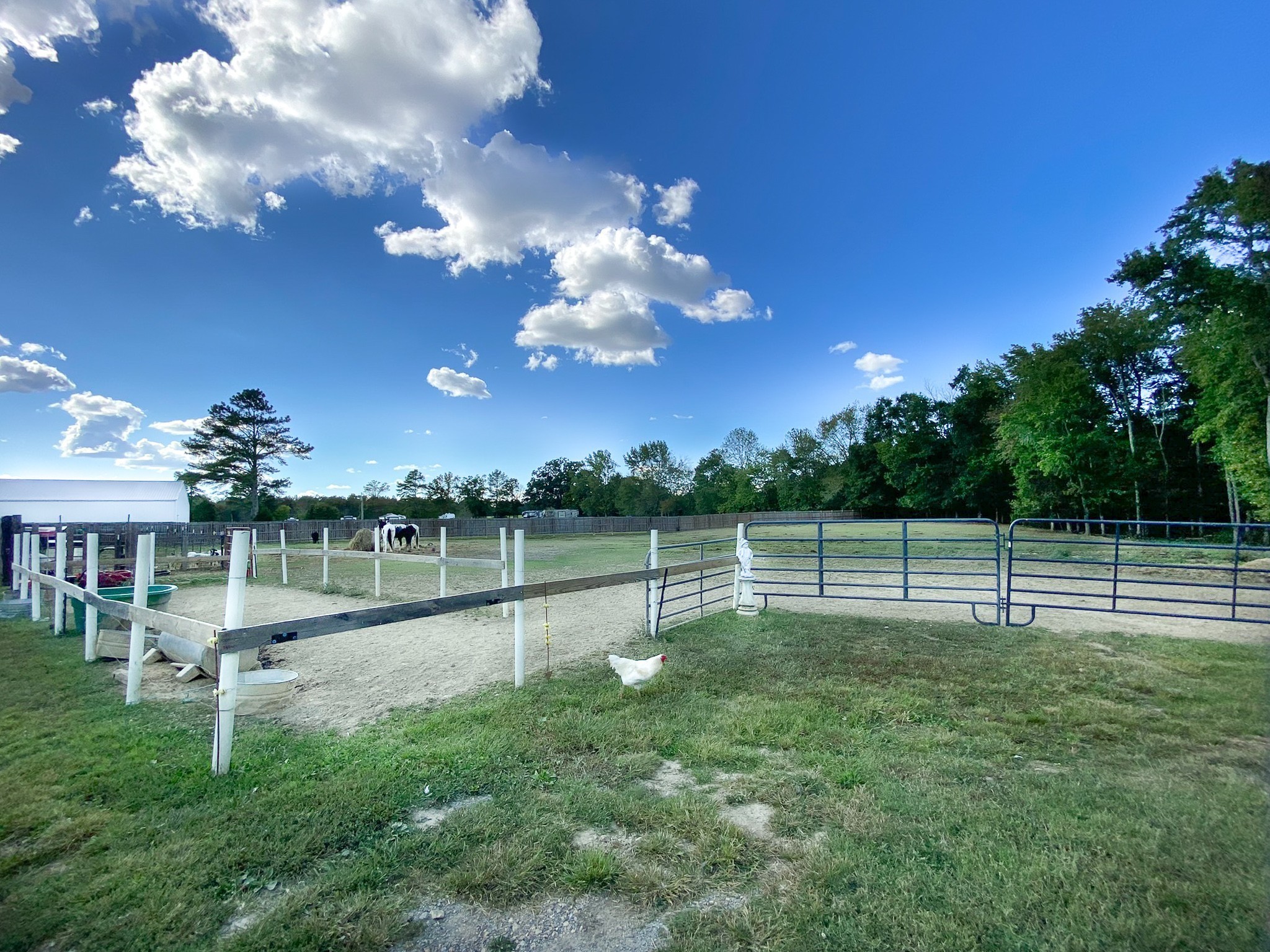 1260 Toy Denny Road Bradyville, TN 37026 - Photo 4 of 32