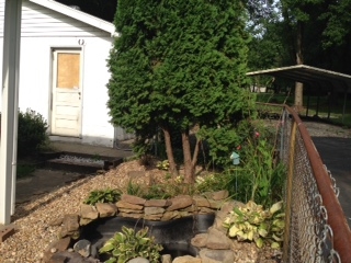 Gallery Image 6