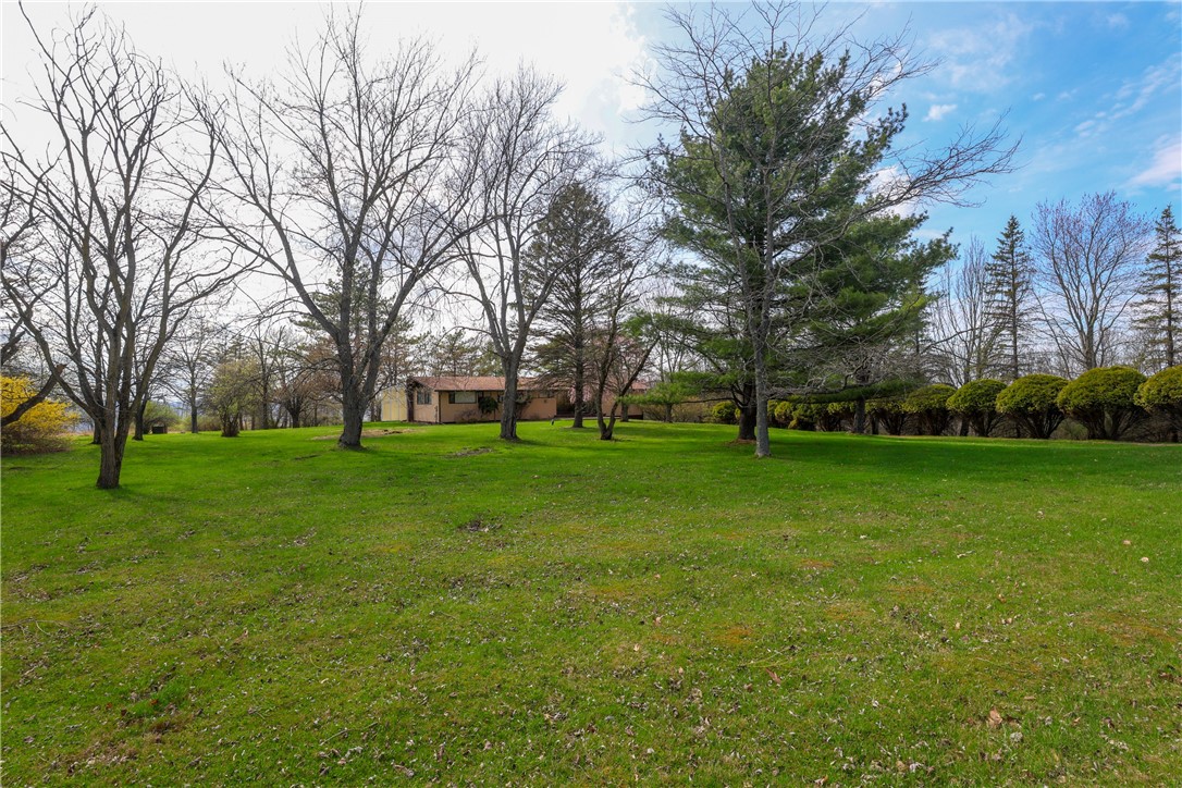305 Michele Lane Sayre, PA 18840 - Photo 43 of 48