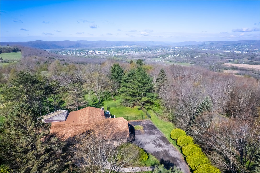 305 Michele Lane Sayre, PA 18840 - Photo 46 of 48