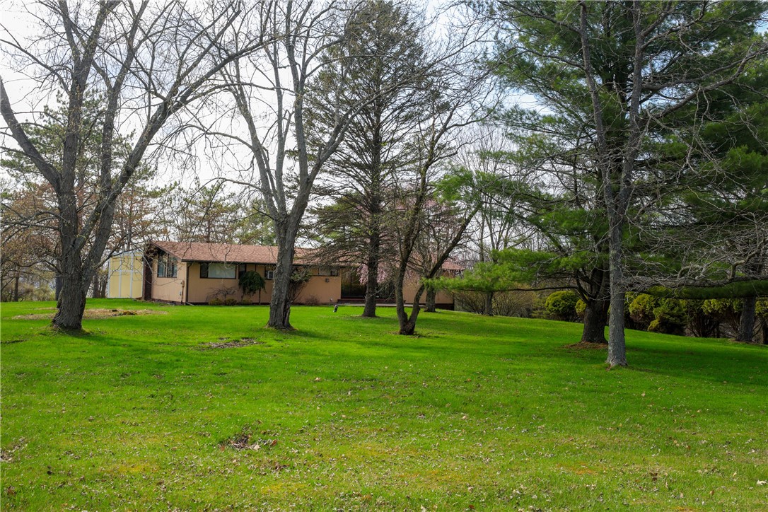 305 Michele Lane Sayre, PA 18840 - Photo 7 of 48