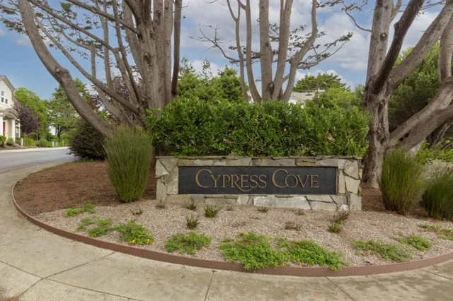a view of a street with potted plants and large trees