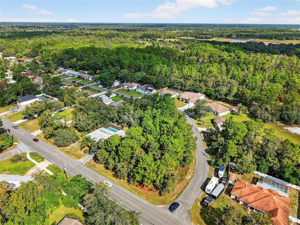 11148 Gifford Drive Spring Hill, FL 34608 - Photo 11 of 14