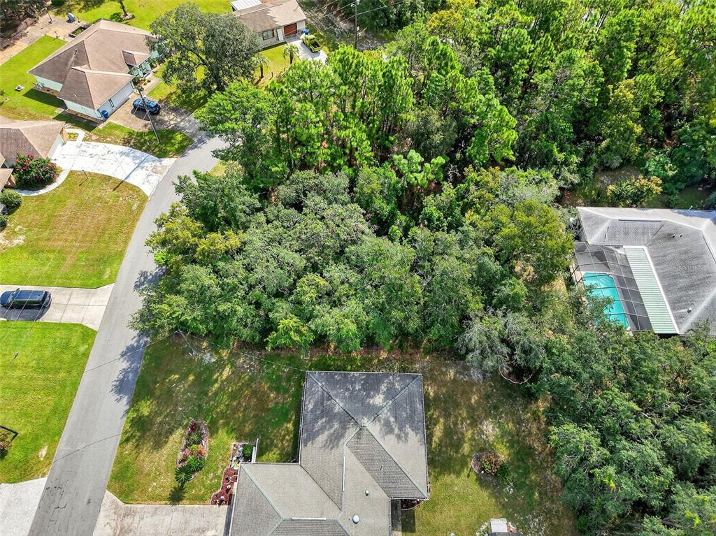 11148 Gifford Drive Spring Hill, FL 34608 - Photo 8 of 14