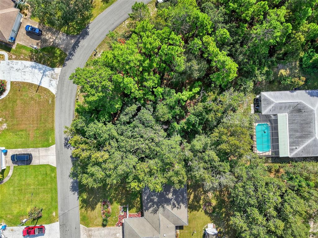 11148 Gifford Drive Spring Hill, FL 34608 - Photo 10 of 14