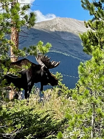 a view of a garden with plants