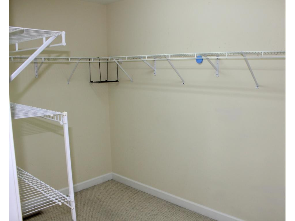 394 Free Hill Road Gray, TN 37615 - Photo 19 of 35 Master Closet