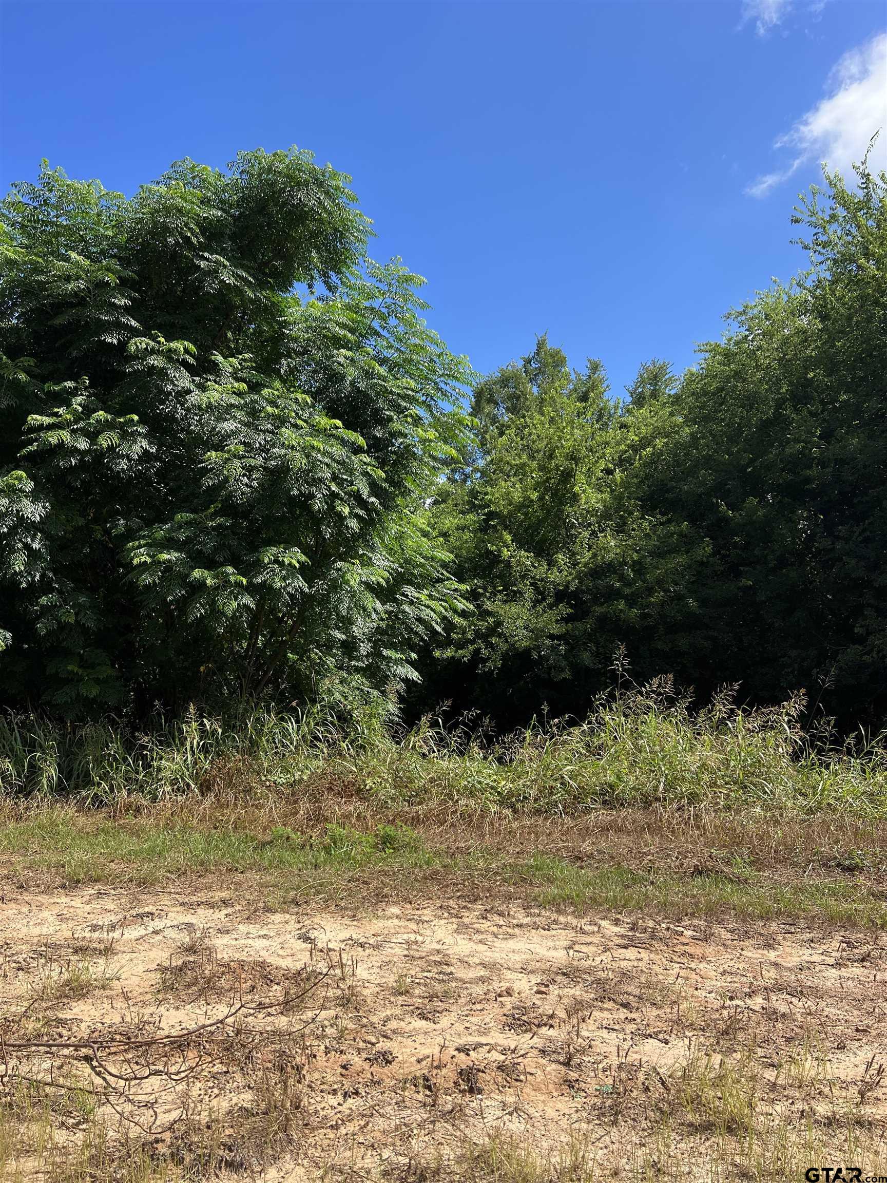 0 Sh 64 Ben Wheeler, TX 75754 - Photo 2 of 4 a view of a lake view