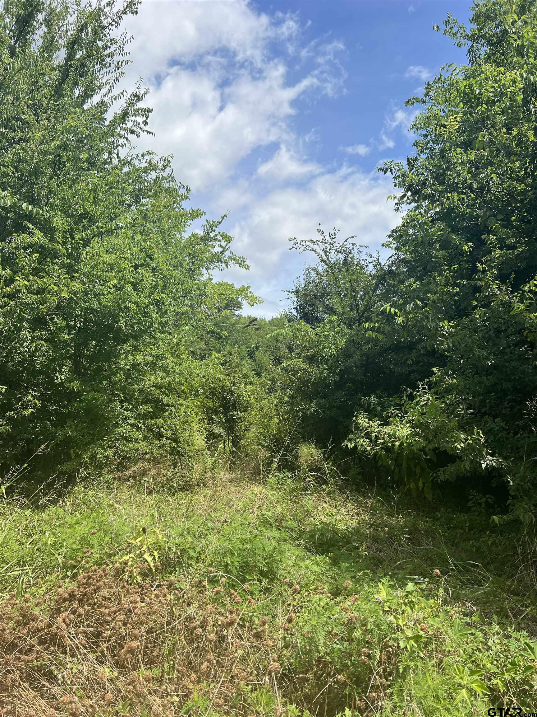 0 Sh 64 Ben Wheeler, TX 75754 - Photo 3 of 4 a view of a lake with top of house