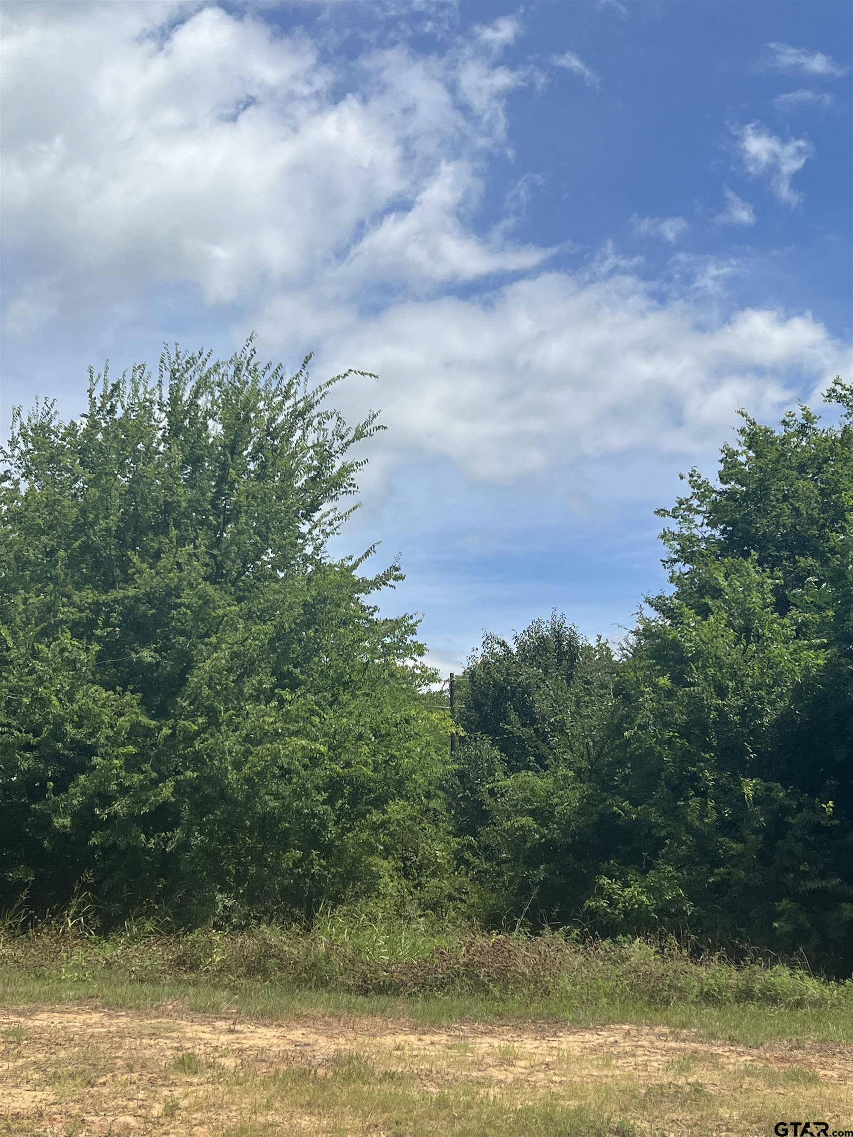 0 Sh 64 Ben Wheeler, TX 75754 - Photo 4 of 4 a view of a lake with houses in the back