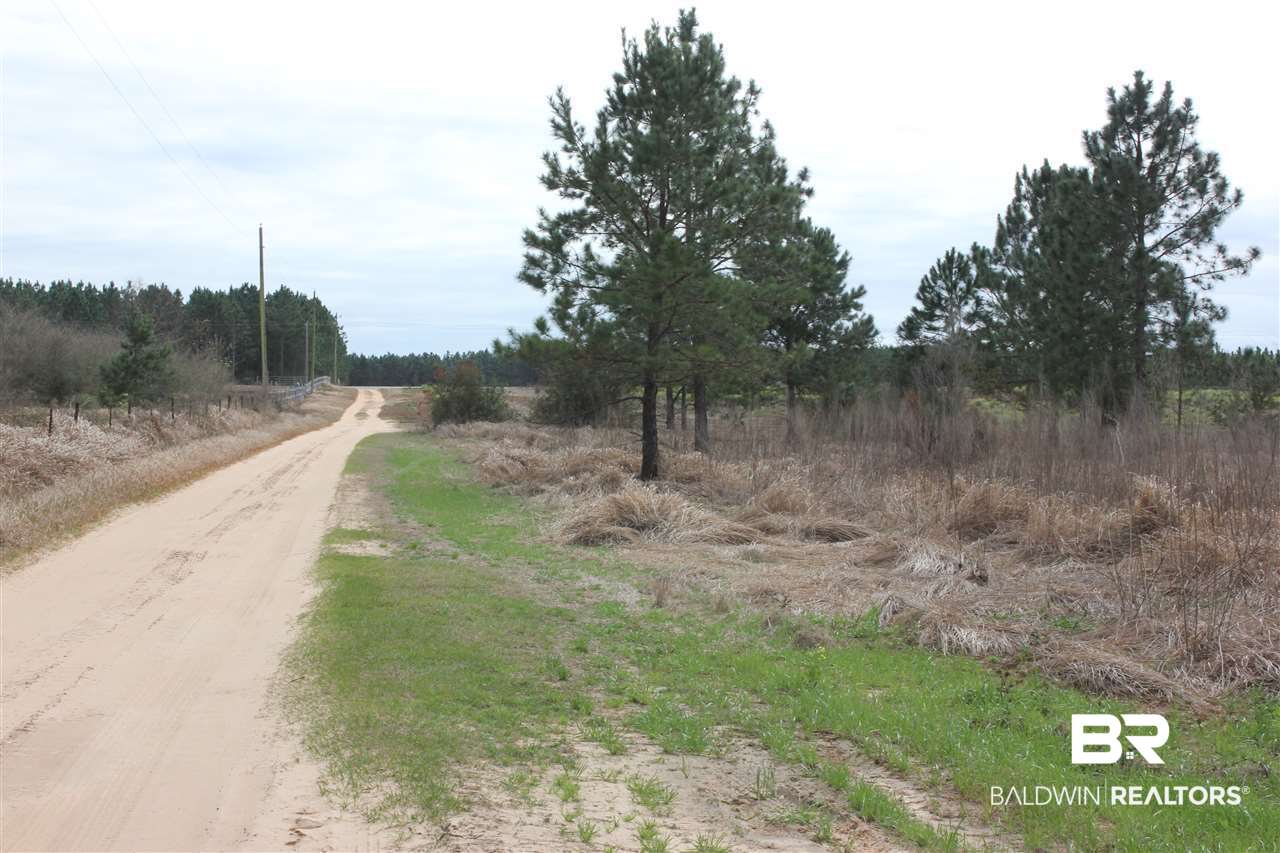 10 County Road 32 Elberta, AL 36530 - Photo 7 of 7