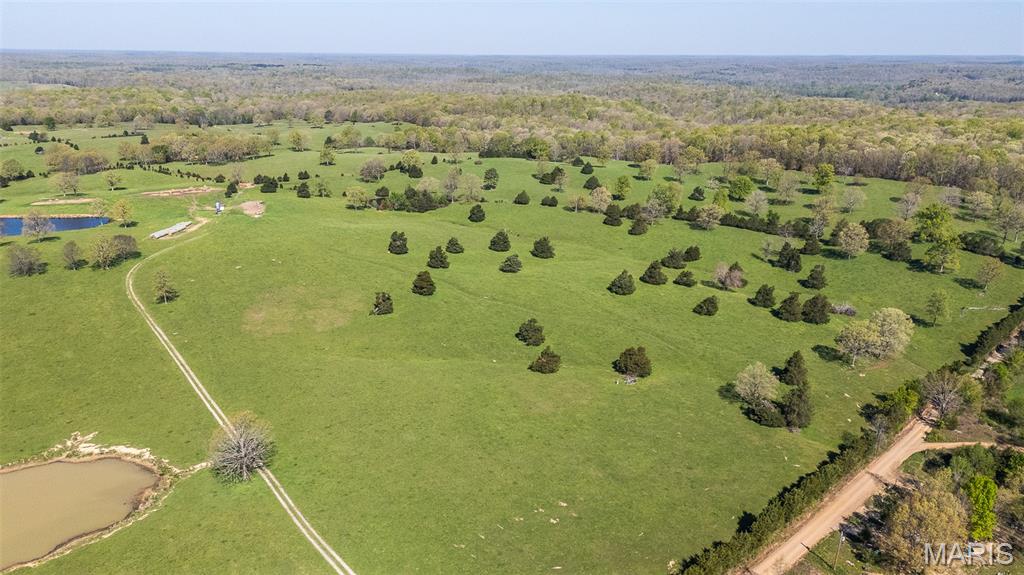 0 Ripley 160E Fairdealing, MO 63939 - Photo 5 of 17