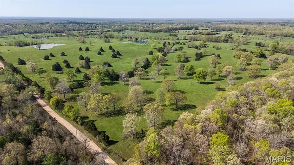 $1,199,000 | 0 Ripley 160E, Fairdealing, MO 63939