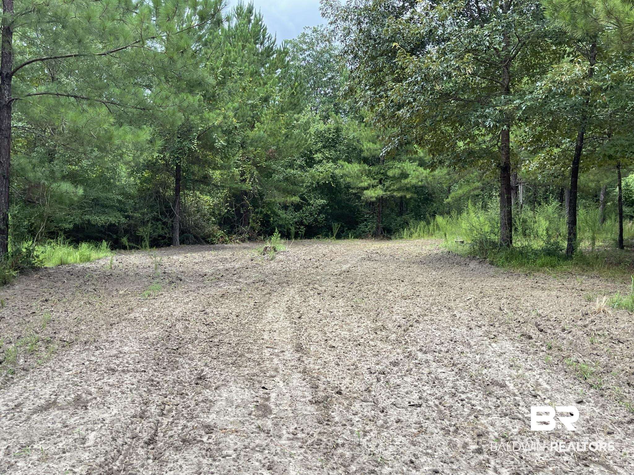0 County Road 11 Wing, AL 36483 - Photo 10 of 37