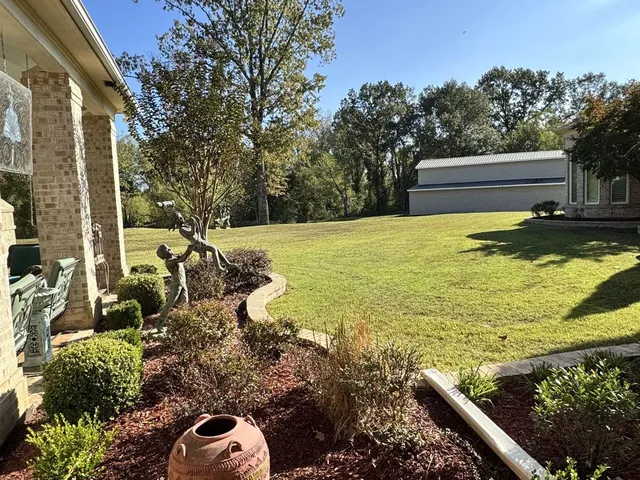 a view of a garden with lawn chairs