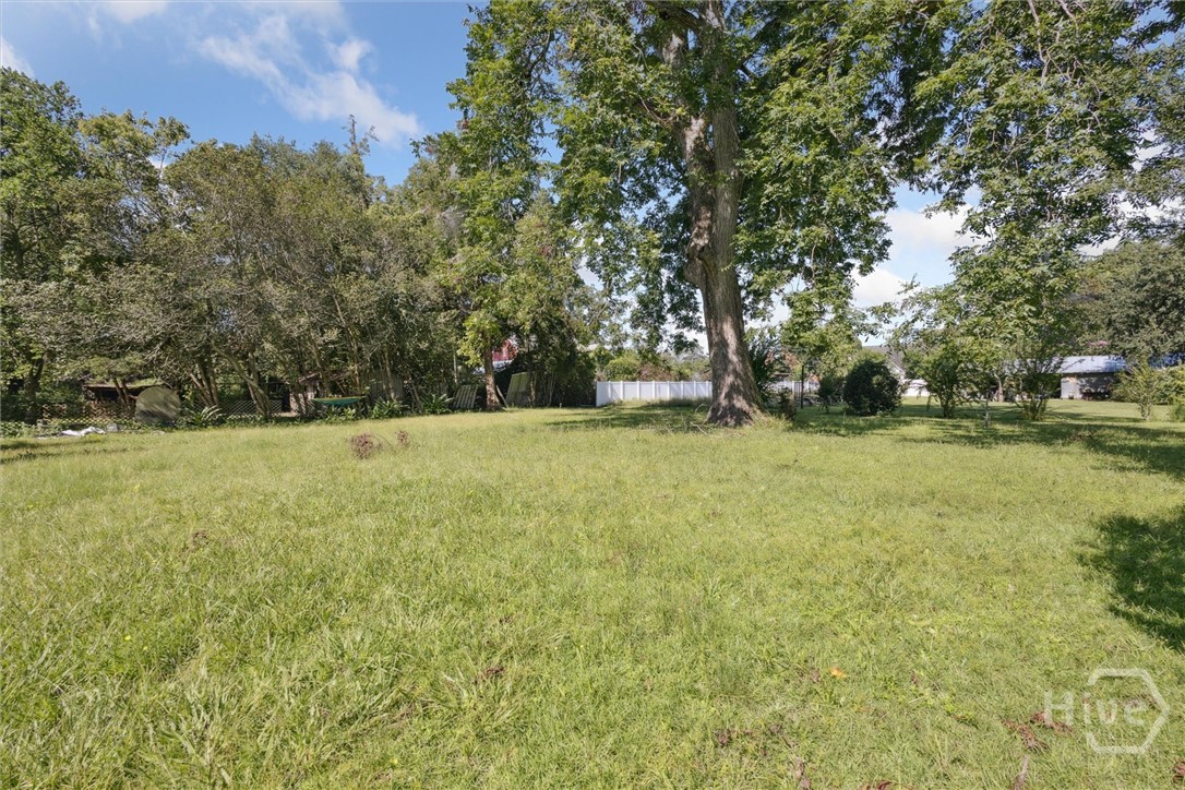 206 East Lane Street Brooklet, GA 30415 - Photo 39 of 41