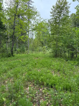$85,000 | Tbd Fitz Road, Unit 1018, Kenduskeag, ME 04450