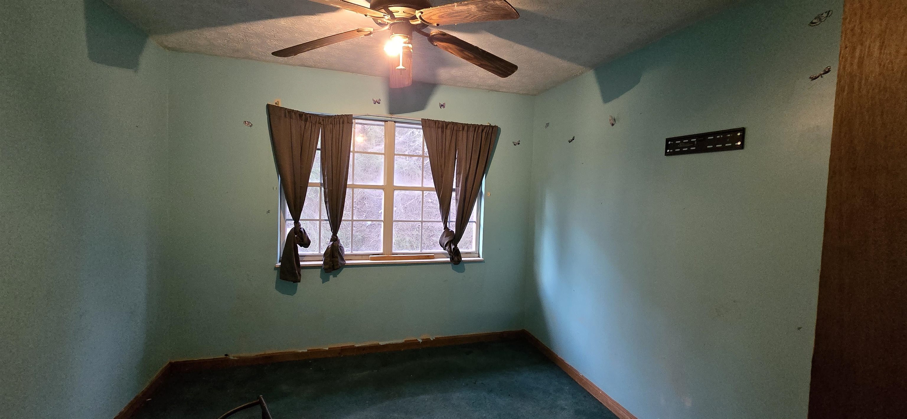 559 East Muddy Branch Road Flatwoods, KY 41139 - Photo 6 of 35 Gallery Image 6