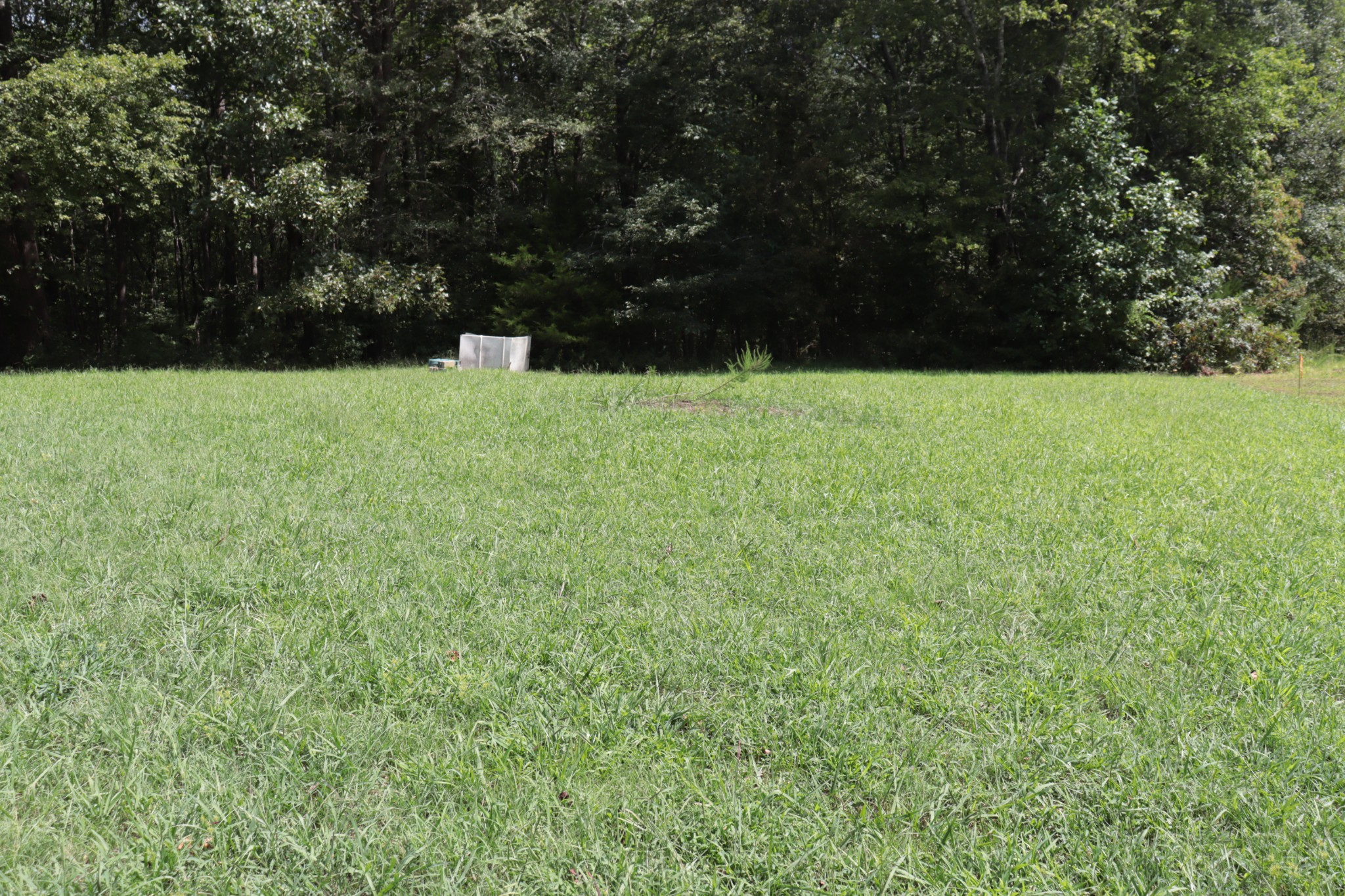 1264 Yellow Spring Road Holladay, TN 38341 - Photo 4 of 5 Gallery Image 4