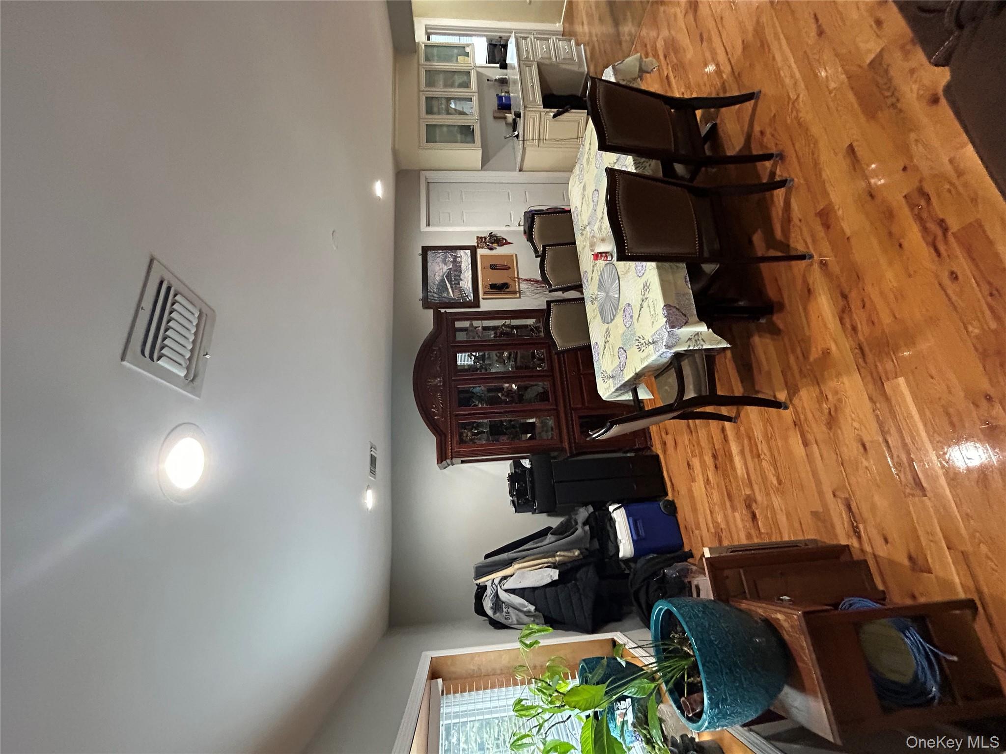 869 Demott Avenue Baldwin, NY 11510 - Photo 9 of 15 a living room with furniture a potted plant and open kitchen view
