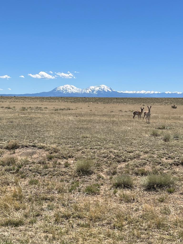 122 Turkey Ridge Ranch Walsenburg, CO 81089 - Photo 2 of 25
