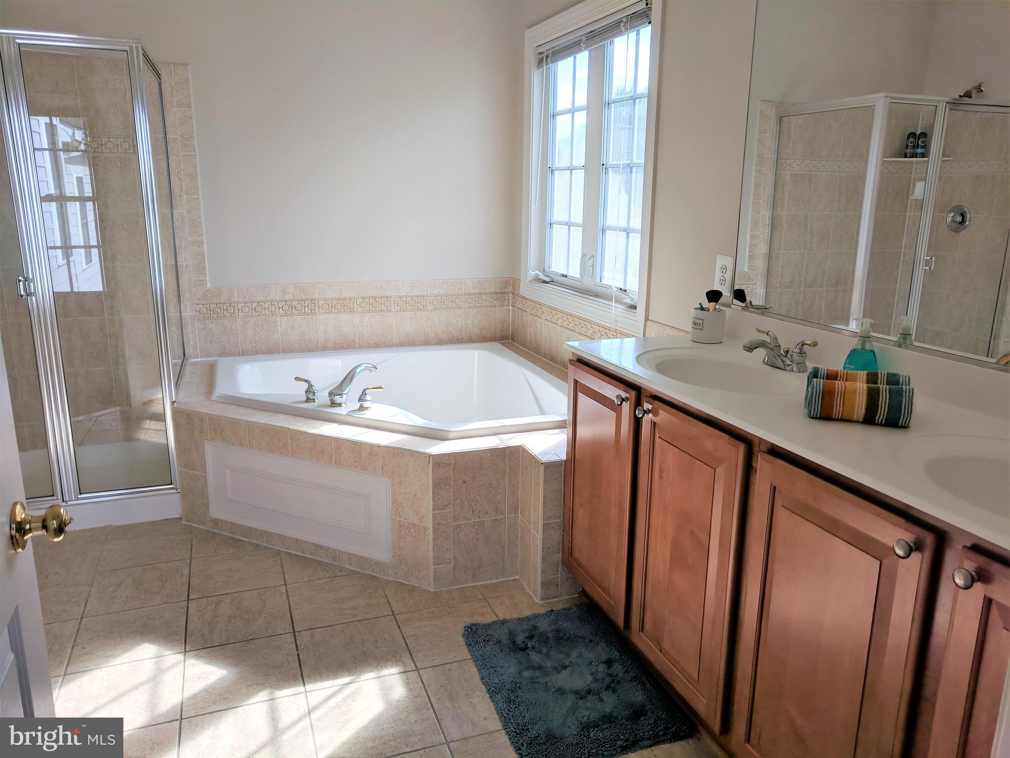 23014 Birch Mead Road Clarksburg, MD 20871 - Photo 16 of 30 Deluxe master bath with elegant upgraded tile.