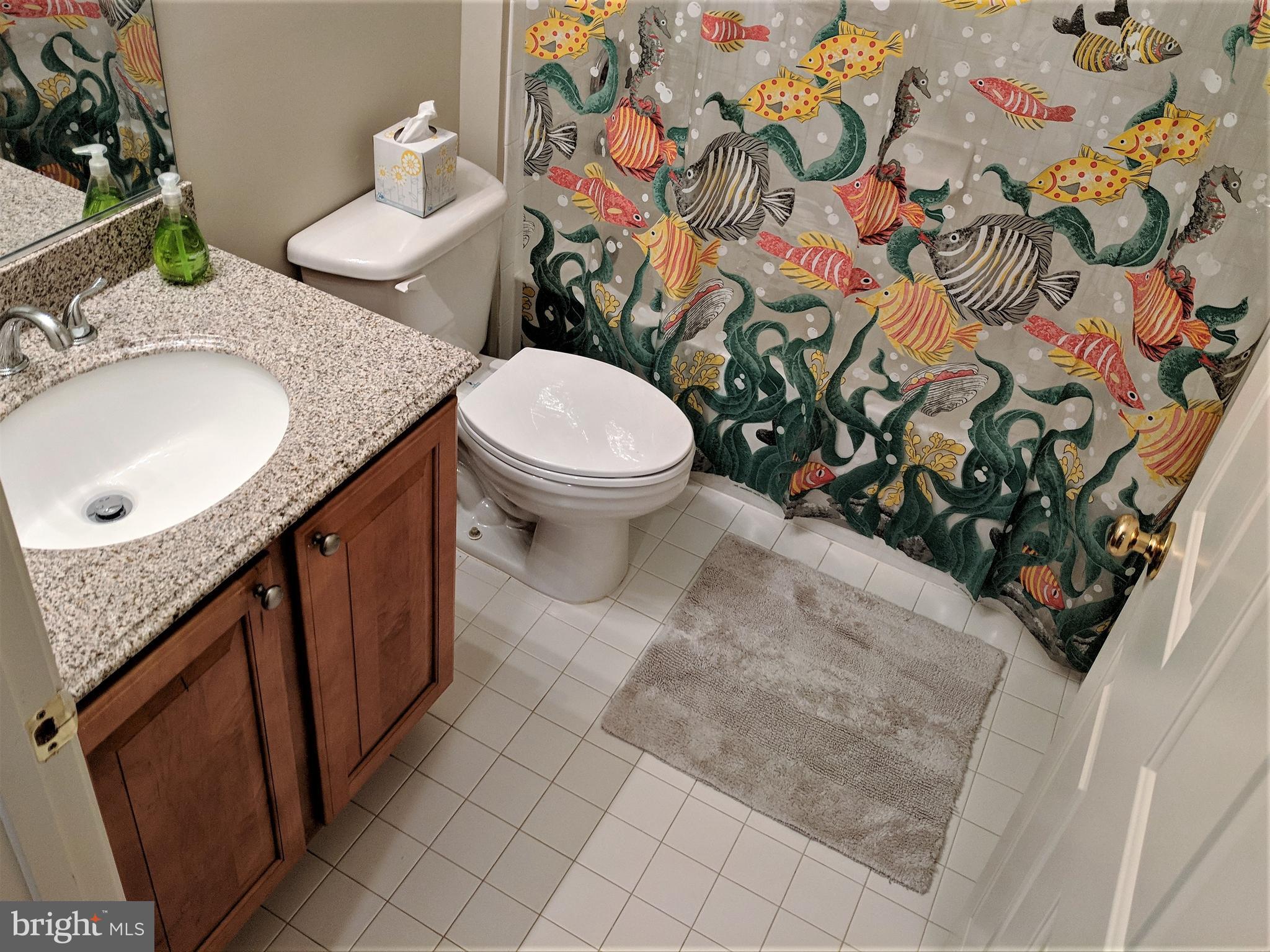 23014 Birch Mead Road Clarksburg, MD 20871 - Photo 25 of 30 Full basement bath w granite vanity top.