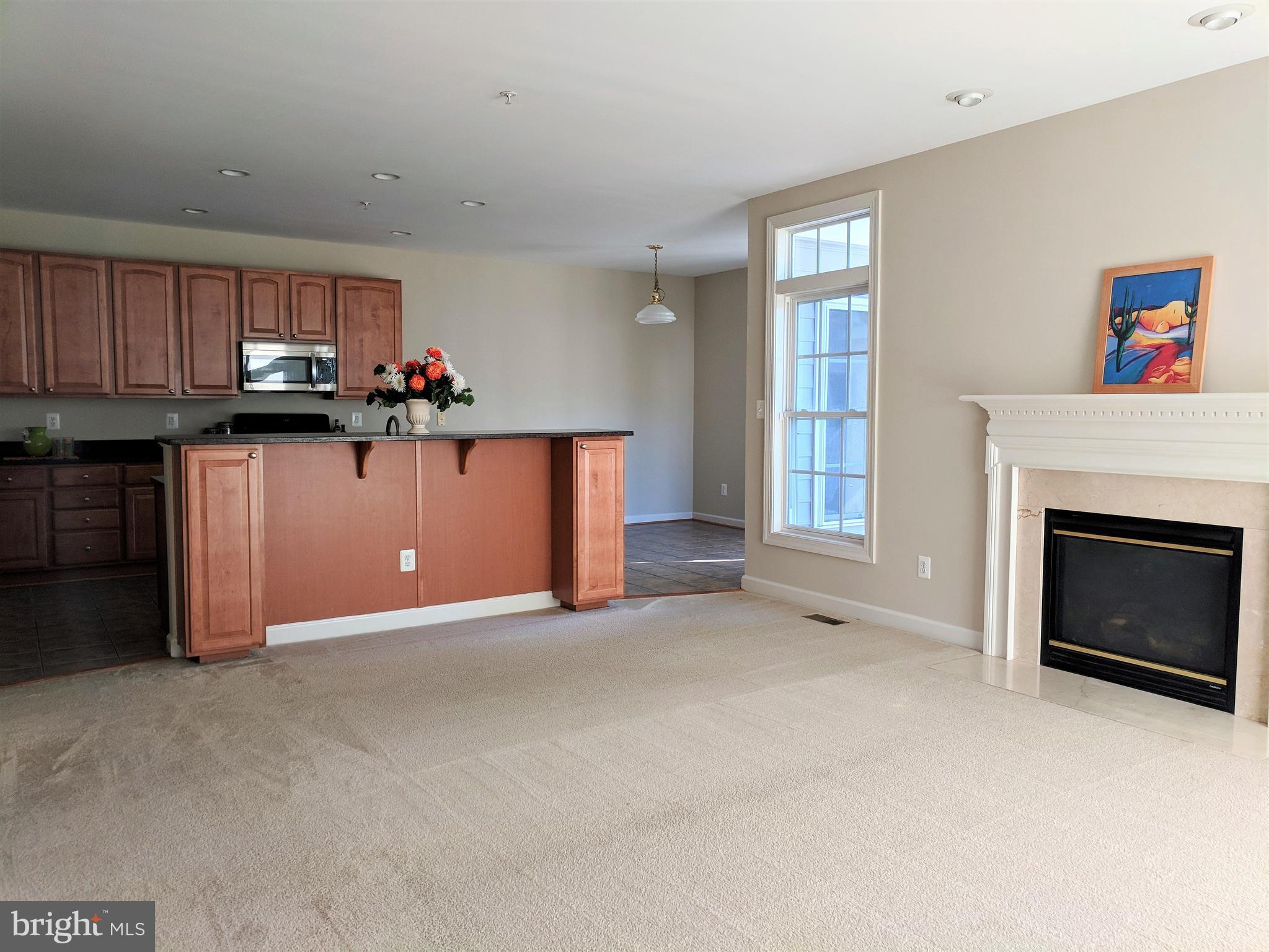 23014 Birch Mead Road Clarksburg, MD 20871 - Photo 10 of 30 Family room with gas fireplace.