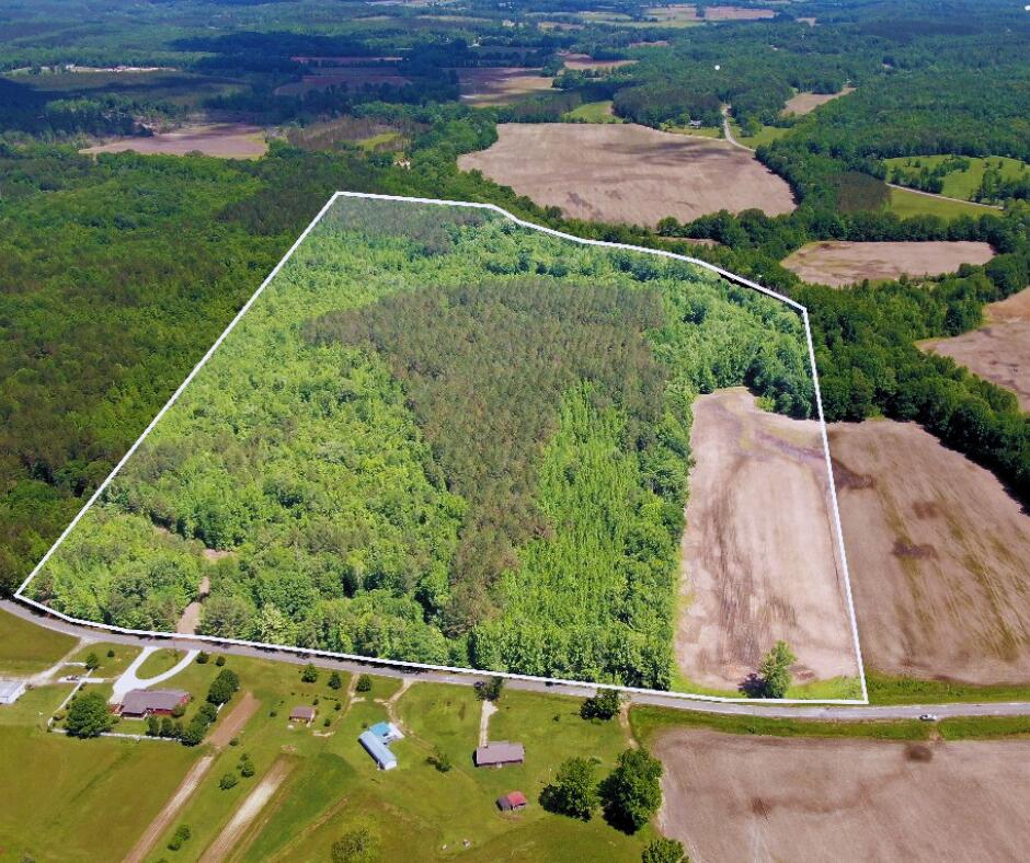 265 Rd Bruce Ms 38915 Gore Springs, MS 38929 - Photo 1 of 1 Gallery Image 1