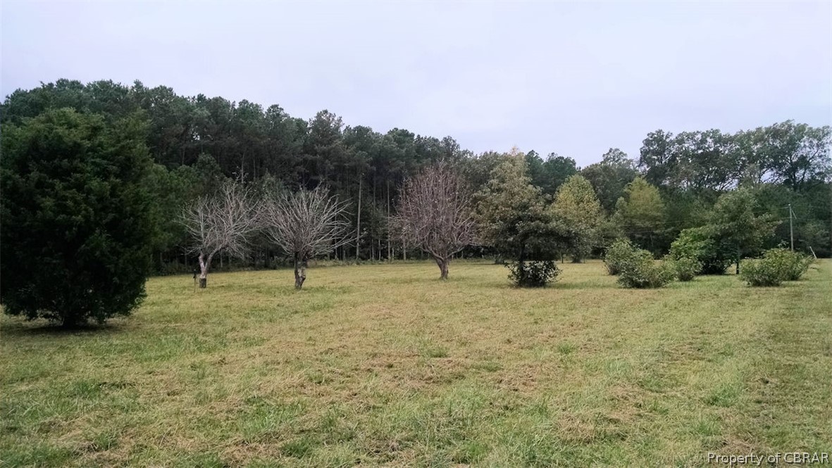 Lot 35 Chapel Neck Road North, VA 23128 - Photo 7 of 12