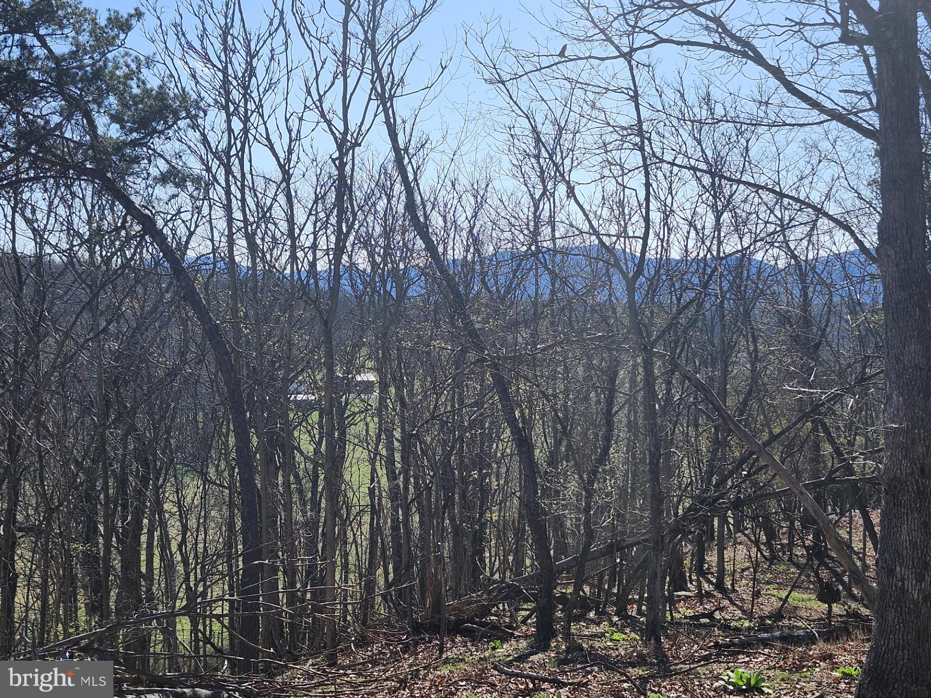 A J Kelley Road Old Fields, WV 26845 - Photo 47 of 65
