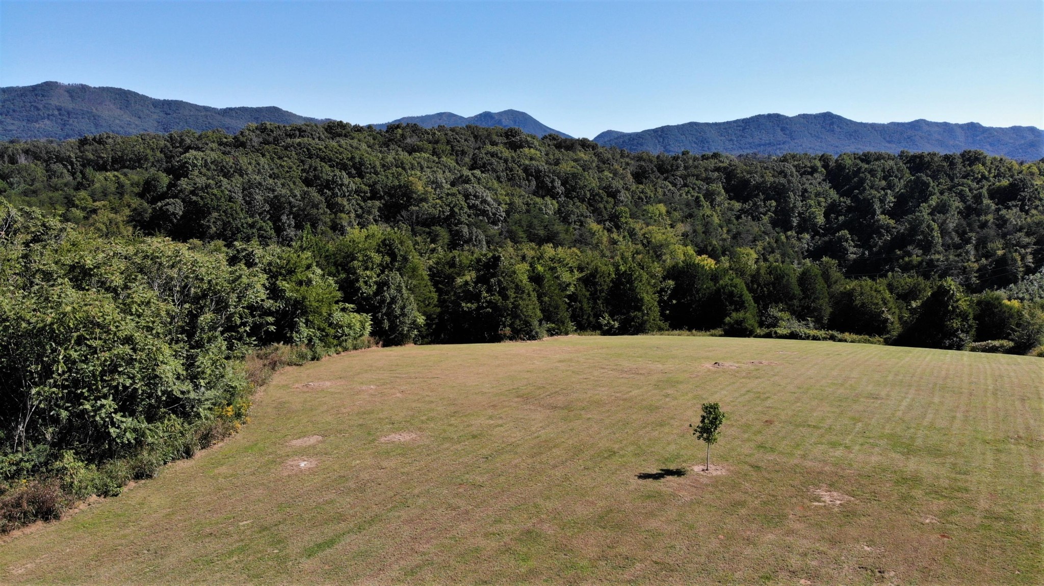 546 Fairfax Road Newport, TN 37821 - Photo 15 of 32