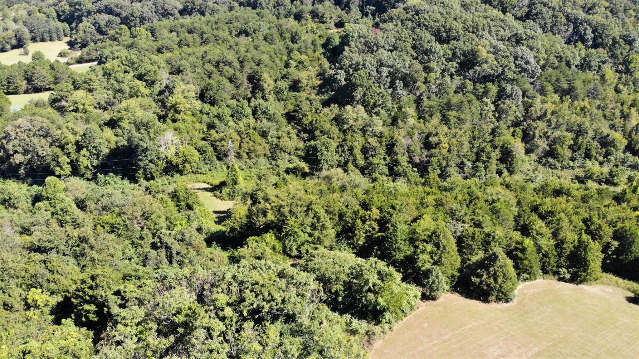 546 Fairfax Road Newport, TN 37821 - Photo 17 of 32