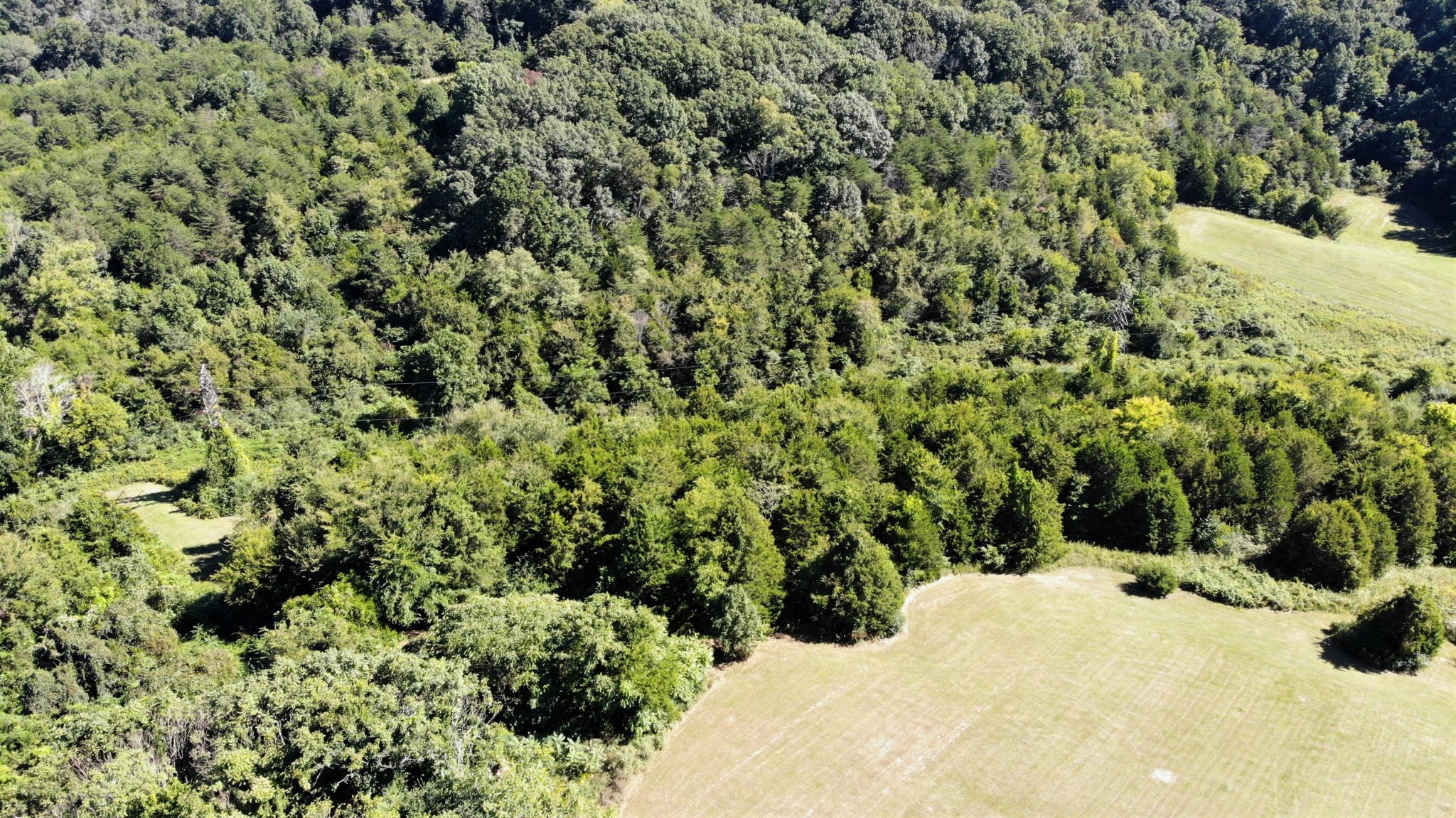 546 Fairfax Road Newport, TN 37821 - Photo 18 of 32