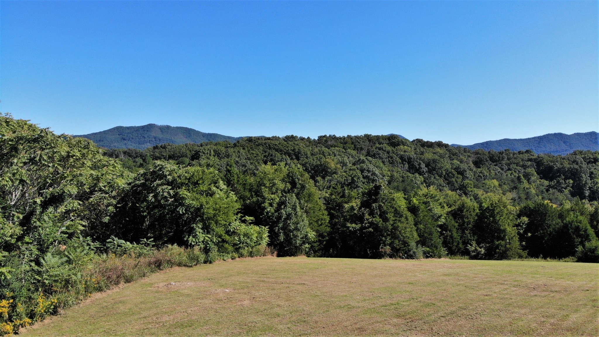 546 Fairfax Road Newport, TN 37821 - Photo 19 of 32