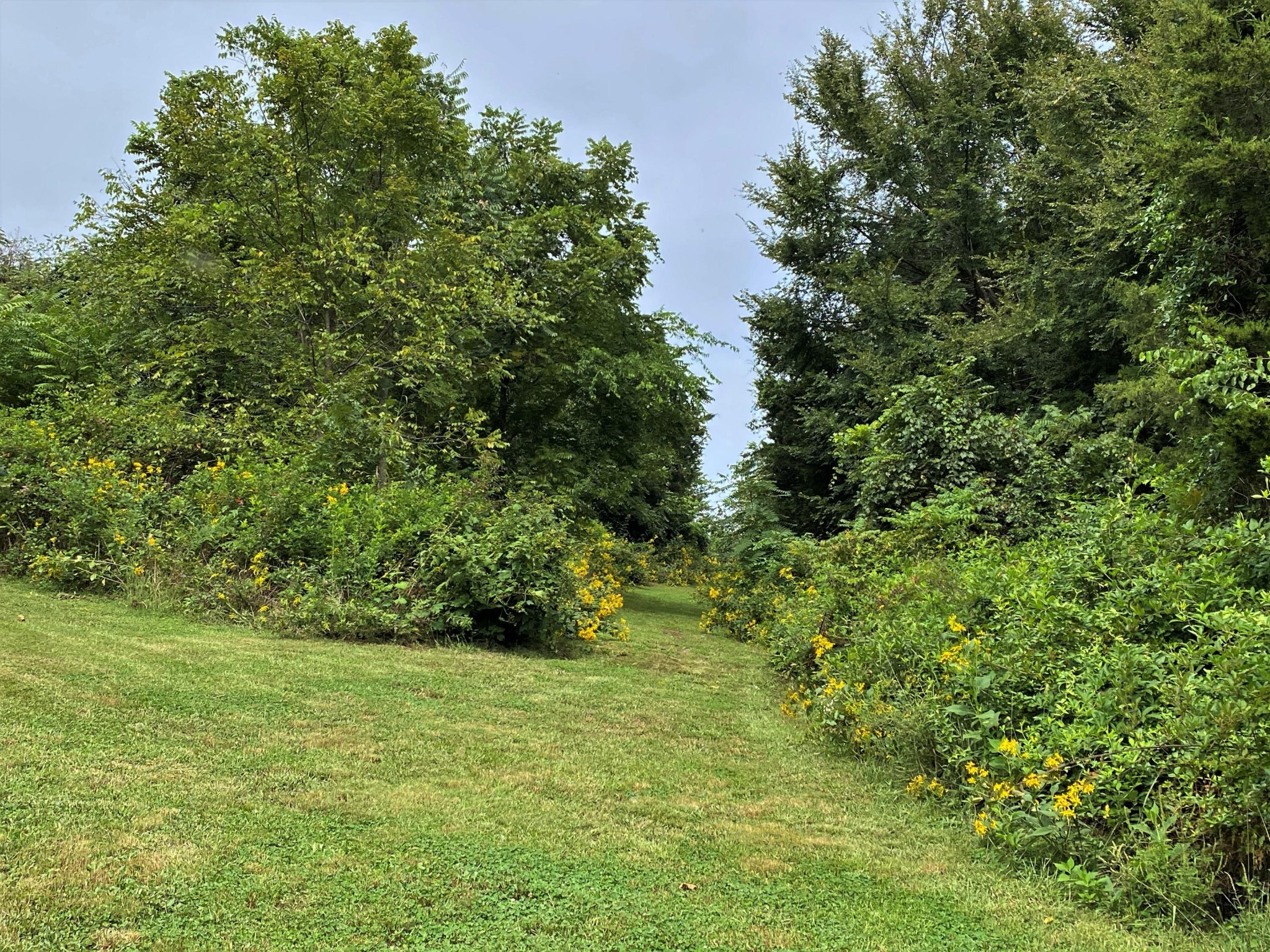 546 Fairfax Road Newport, TN 37821 - Photo 23 of 32