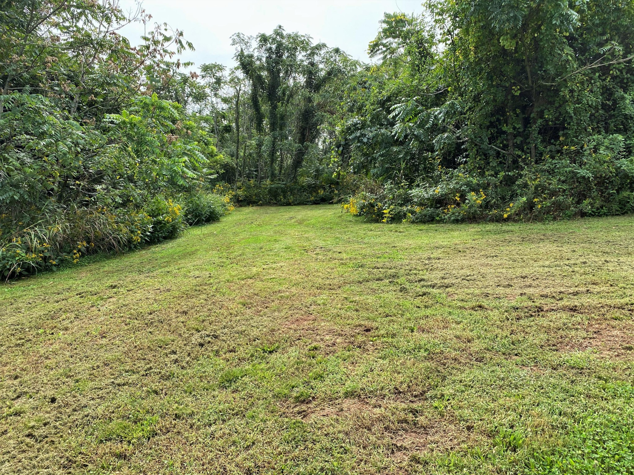546 Fairfax Road Newport, TN 37821 - Photo 26 of 32