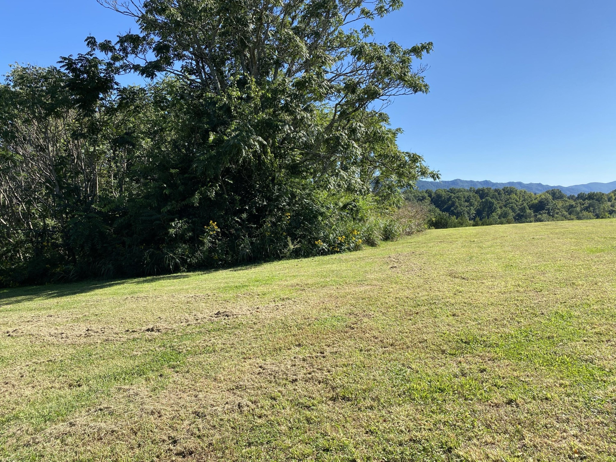 546 Fairfax Road Newport, TN 37821 - Photo 10 of 32