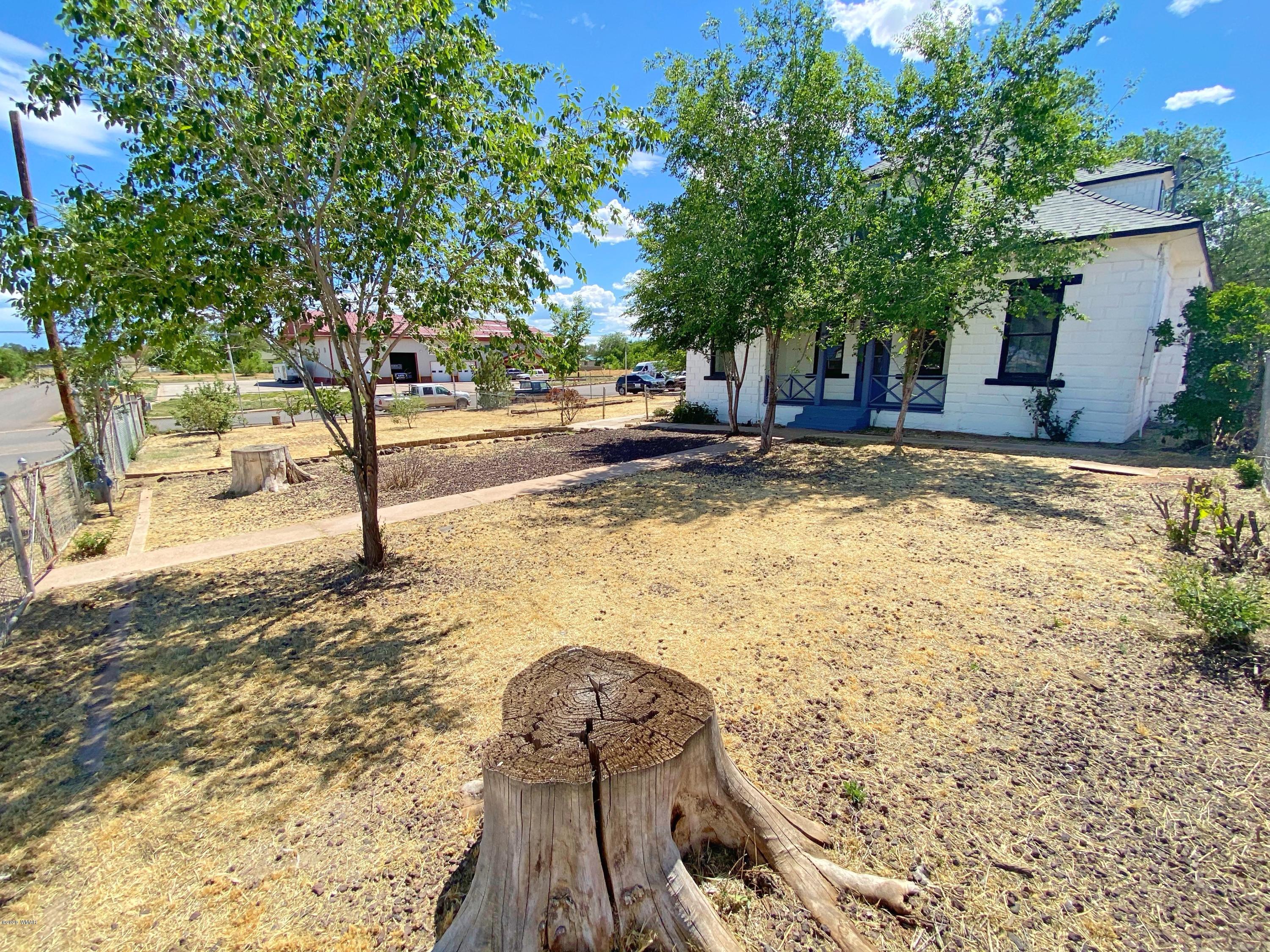 370 South 3rd Street West Snowflake, AZ 85937 - Photo 45 of 53 a view of a yard with plants and trees