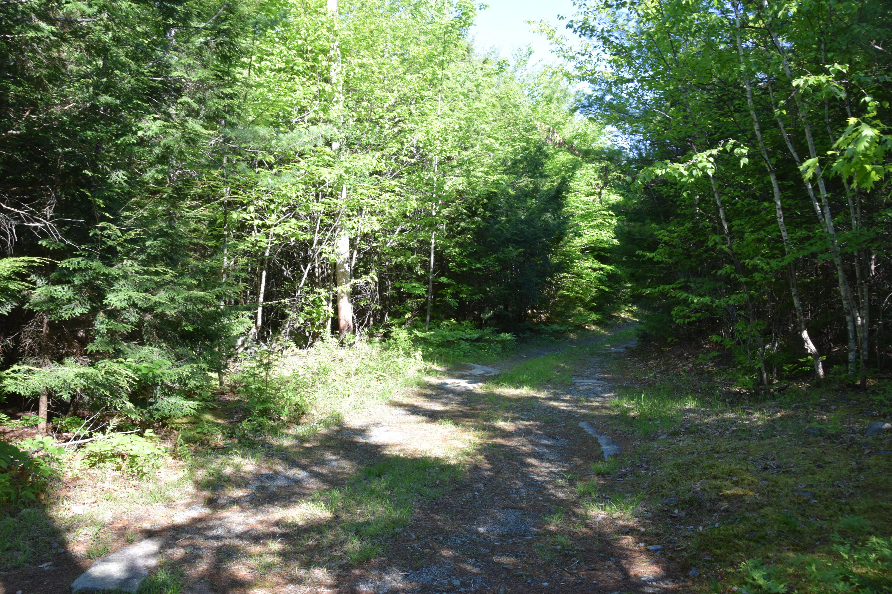 M10-l6-1 Hancock Pond Road New Portland, ME 04961 - Photo 13 of 30 DSC_0011