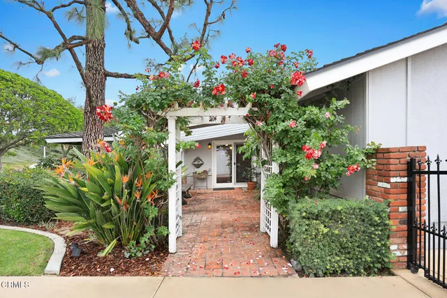 a view of a potted flower in the corridor