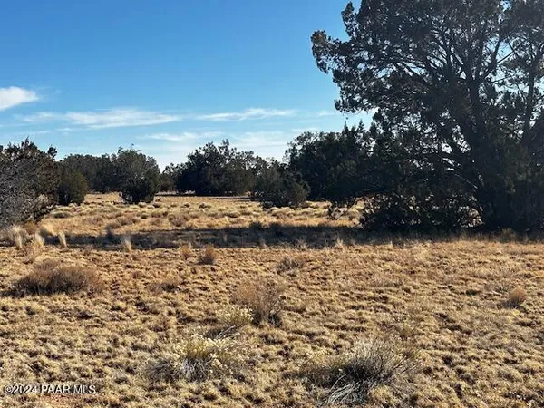 a view of a field
