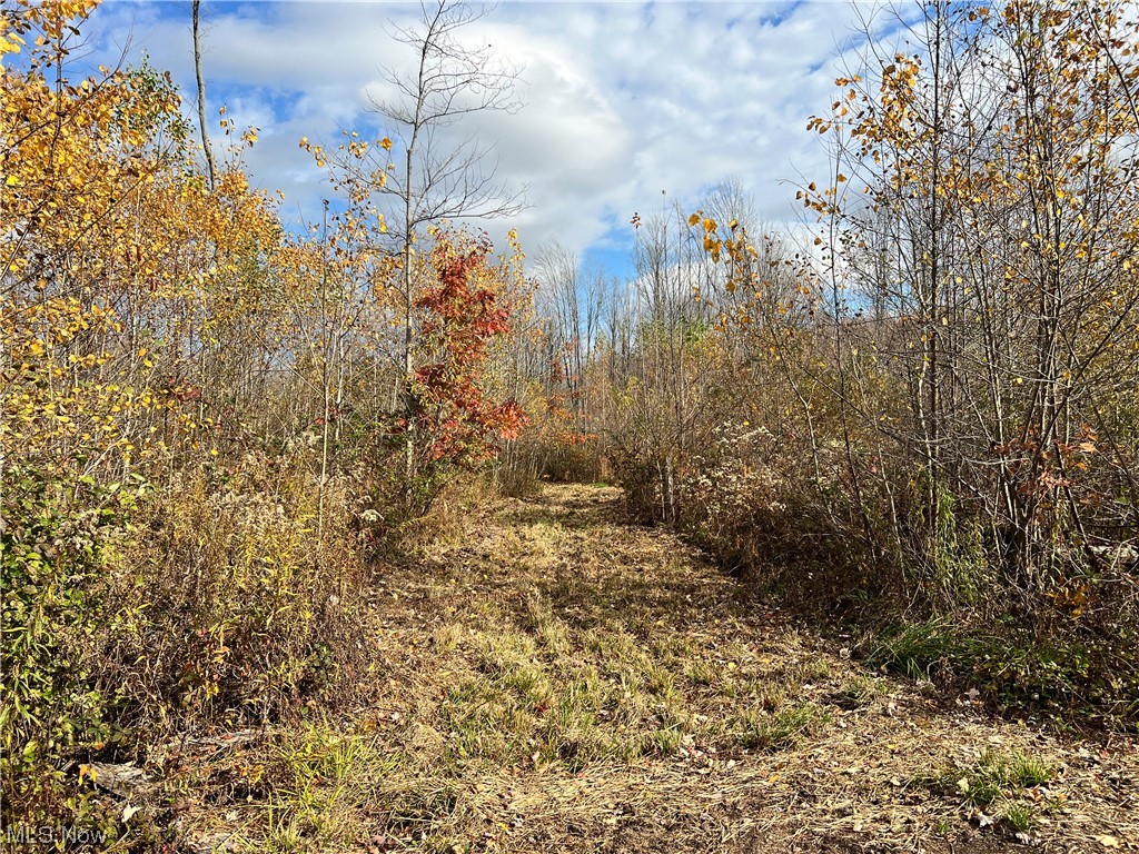 6 Us Route Pierpont, OH 44082 - Photo 26 of 32 View of nature