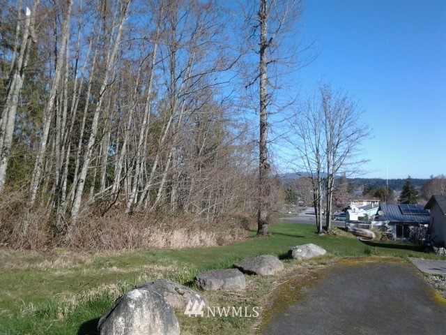 0 A Avenue Anacortes, WA 98221 - Photo 2 of 2 a backyard of a house with lots of green space