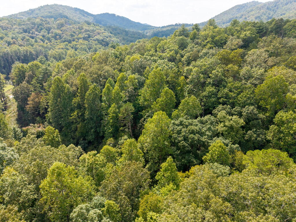 1305 Qualla Road Hayesville, NC 28904 - Photo 11 of 21 Gallery Image 11