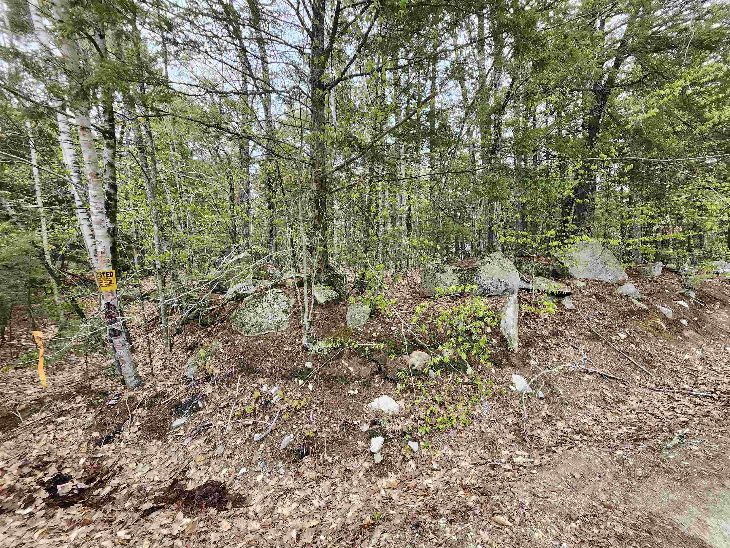 101-15 North Shore Road New Durham, NH 03855 - Photo 13 of 14