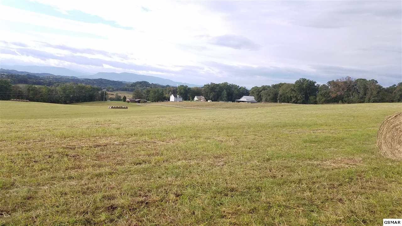 13 Kodak Road Kodak, TN 37764 - Photo 16 of 18 Gallery Image 16